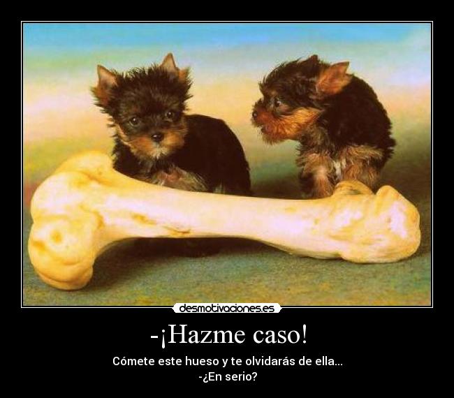 -¡Hazme caso! - Cómete este hueso y te olvidarás de ella...
-¿En serio?