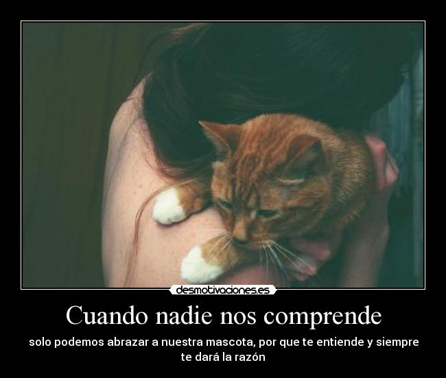 carteles amor animal desmotivaciones