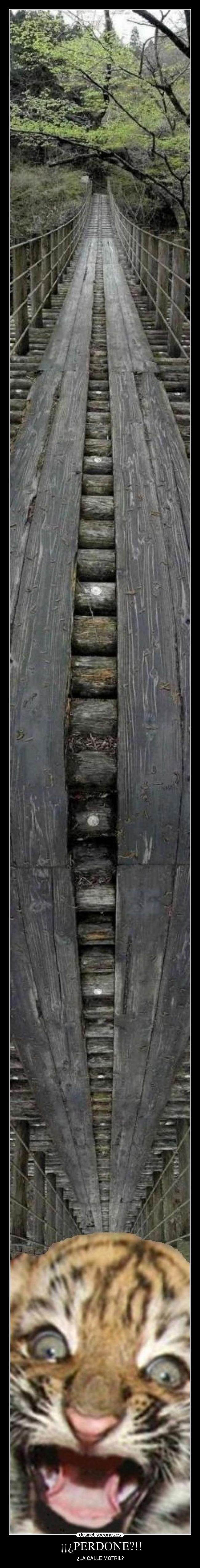 carteles tigretoneh clanng clantigretoneh nose ven las letras desmotivaciones