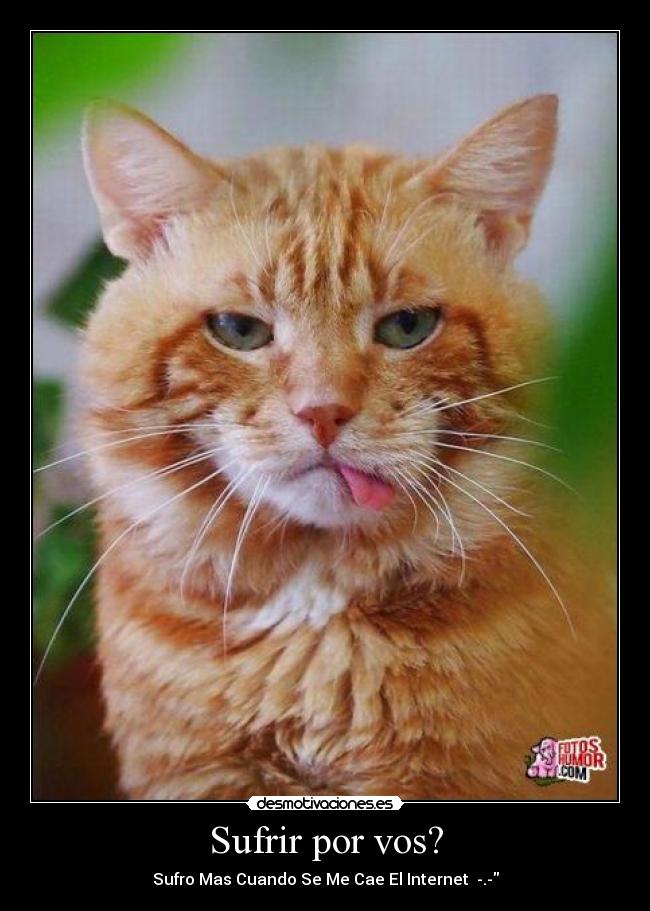 Sufrir por vos? -