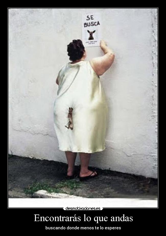 Encontrarás lo que andas - buscando donde menos te lo esperes