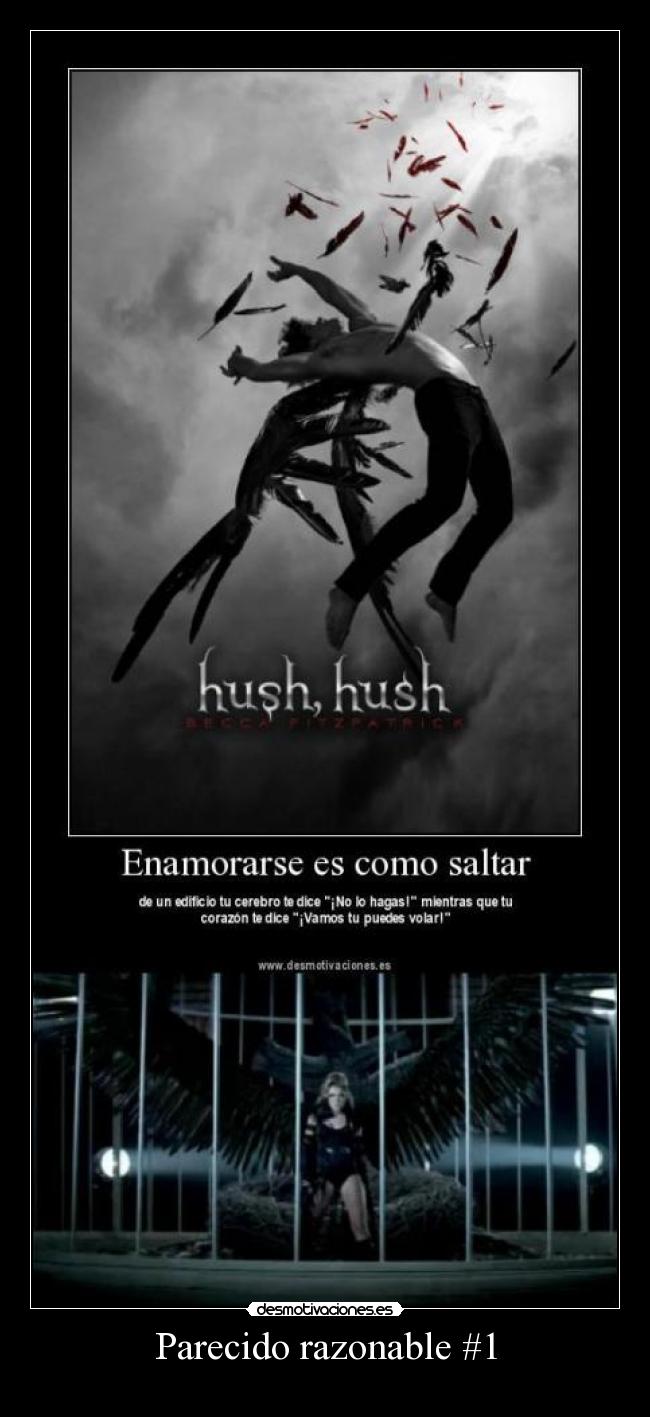 Parecido razonable #1 -