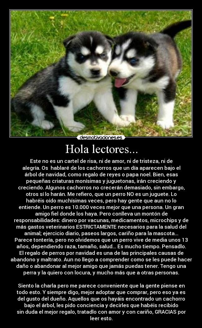Hola lectores... - Este no es un cartel de risa, ni de amor, ni de tristeza, ni de
alegría. Os hablaré de los cachorros que un día aparecen bajo el
árbol de navidad, como regalo de reyes o papa noel. Bien, esas
pequeñas criaturas monísimas y juguetonas, irán creciendo y
creciendo. Algunos cachorros no crecerán demasiado, sin embargo,
otros sí lo harán. Me refiero, que un perro NO es un juguete. Lo
habréis oído muchísimas veces, pero hay gente que aun no lo
entiende. Un perro es 10.000 veces mejor que una persona. Un gran
amigo fiel donde los haya. Pero conlleva un montón de
responsabilidades: dinero por vacunas, medicamentos, microchips y de
más gastos veterinarios ESTRICTAMENTE necesarios para la salud del
animal; ejercicio diario, paseos largos, cariño para la mascota...
Parece tontería, pero no olvidemos que un perro vive de media unos 13
años, dependiendo raza, tamaño, salud... Es mucho tiempo. Pensadlo.
El regalo de perros por navidad es una de las principales causas de
abandono y maltrato. Aun no llego a comprender como se les puede hacer
daño o abandonar al mejor amigo que jamás puedas tener. Tengo una
perra y la quiero con locura, y mucho más que a otras personas.
Siento la charla pero me parece conveniente que la gente piense en
todo esto. Y siempre digo, mejor adoptar que comprar, pero eso ya es
del gusto del dueño. Aquellos que os hayáis encontrado un cachorro
bajo el árbol, les pido conciencia y decirles que habéis recibido
sin duda el mejor regalo, tratadlo con amor y con cariño, GRACIAS por
leer esto.