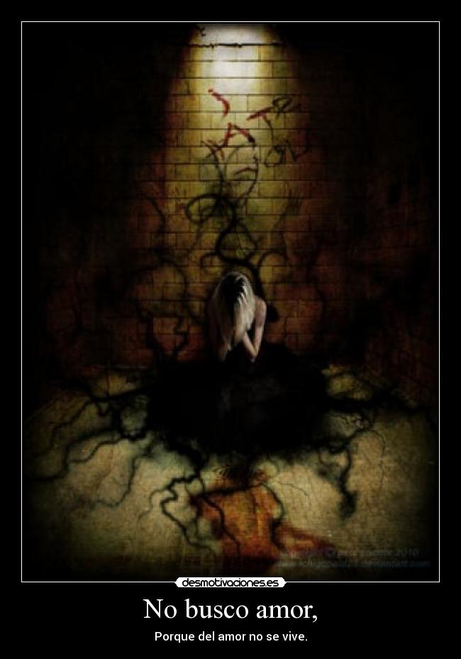 No busco amor, - Porque del amor no se vive.