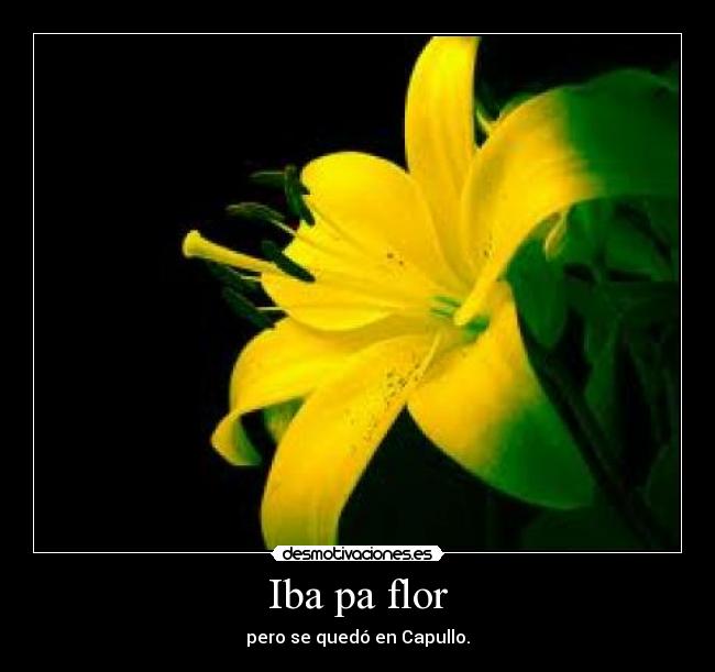 Iba pa flor -