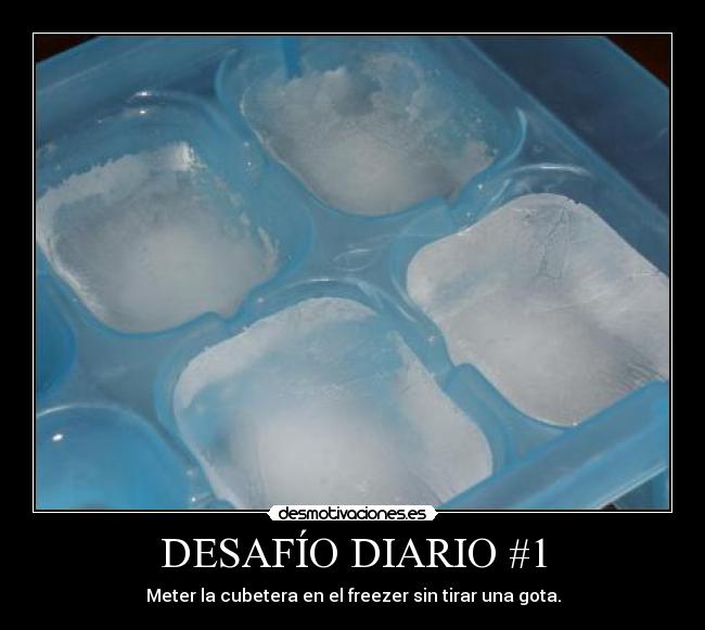 DESAFÍO DIARIO #1 - Meter la cubetera en el freezer sin tirar una gota.