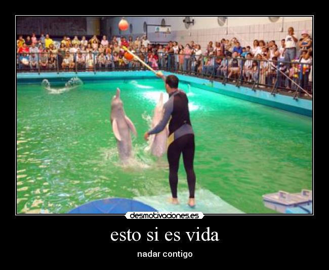 esto si es vida - nadar contigo