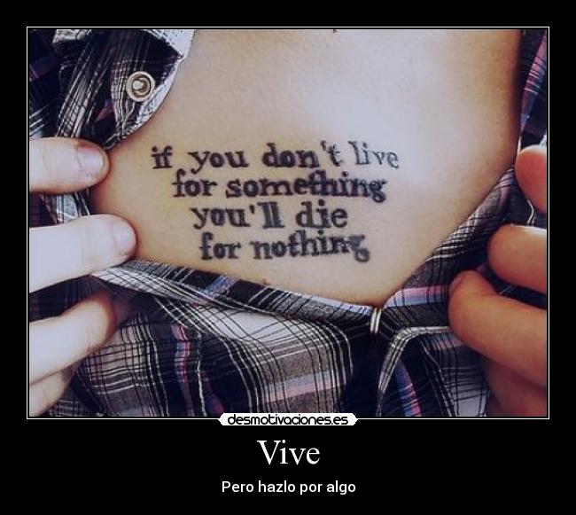 Vive - 