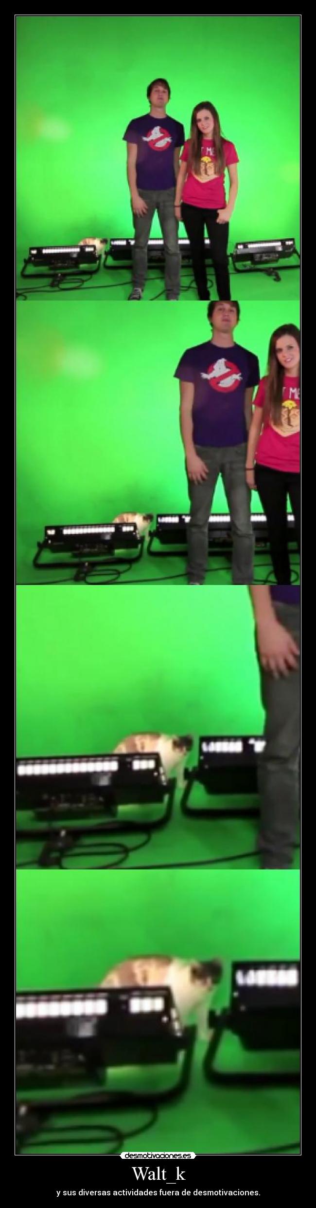 carteles walt ehm desmotivaciones