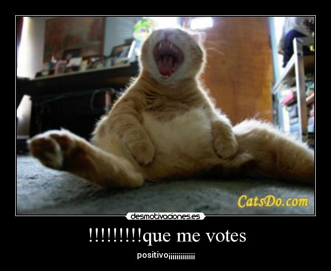 !!!!!!!!!que me votes - positivo¡¡¡¡¡¡¡¡¡¡¡¡¡