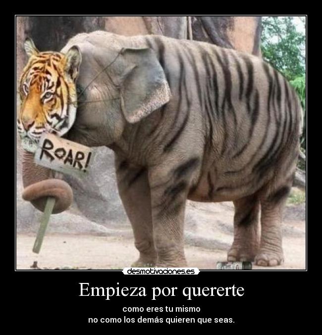 carteles luis abue dark claud desmotivaciones