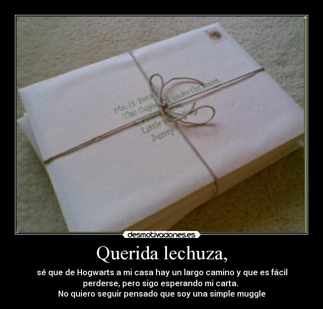 Querida lechuza, - 