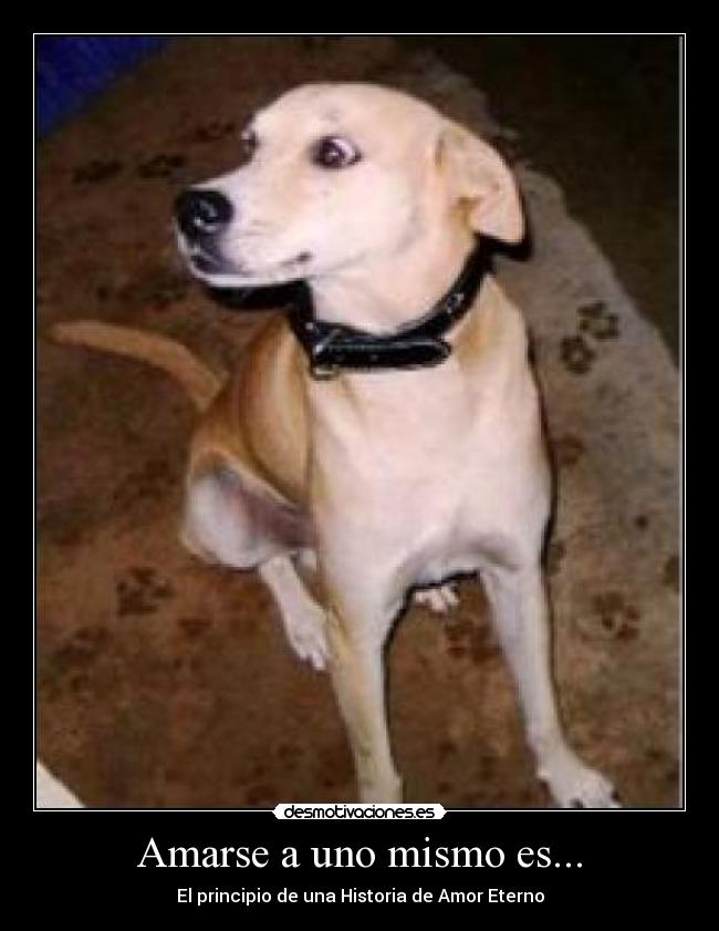 Amarse a uno mismo es... - 