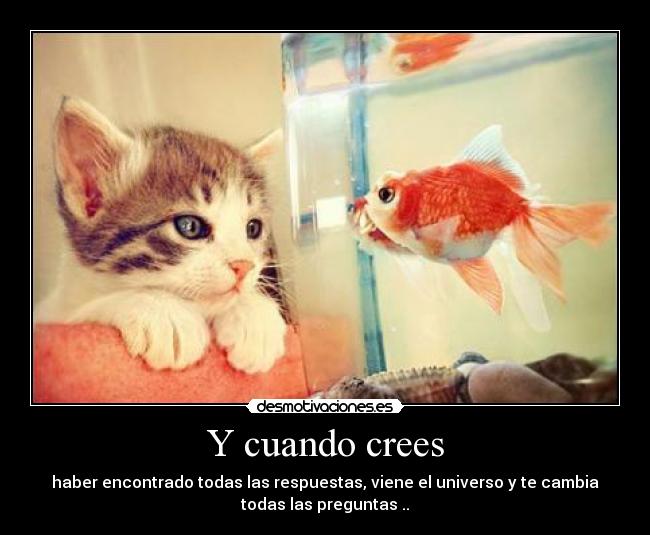Y cuando crees - haber encontrado todas las respuestas, viene el universo y te cambia
todas las preguntas ..