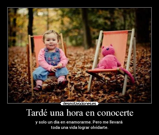 Tardé una hora en conocerte - 