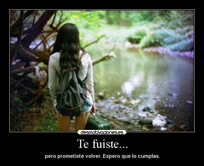 Te fuiste... - 