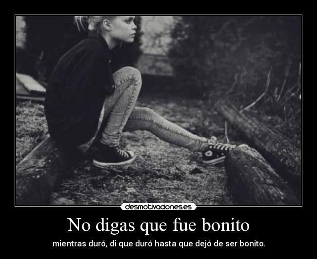 No digas que fue bonito - mientras duró, di que duró hasta que dejó de ser bonito.