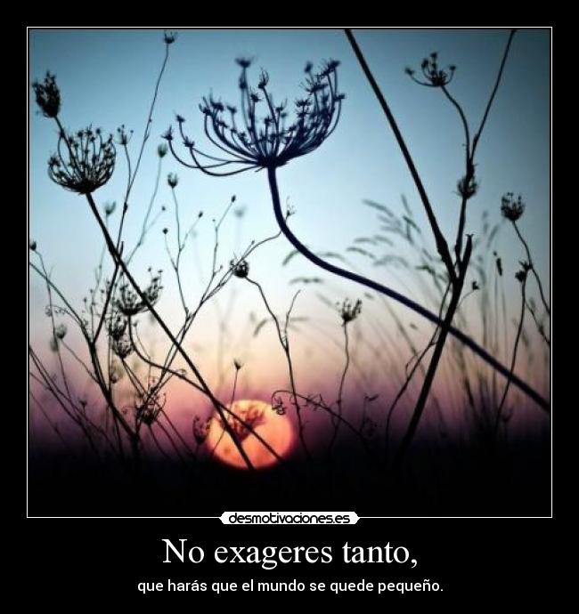 No exageres tanto, - que harás que el mundo se quede pequeño.
