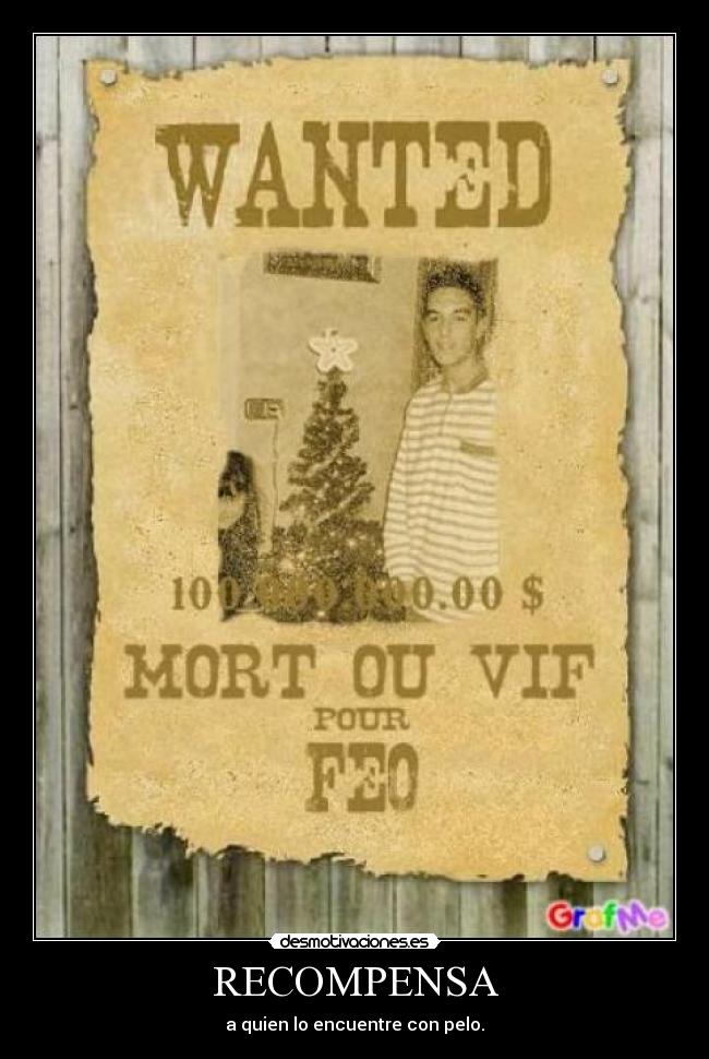 carteles hola desmotivaciones