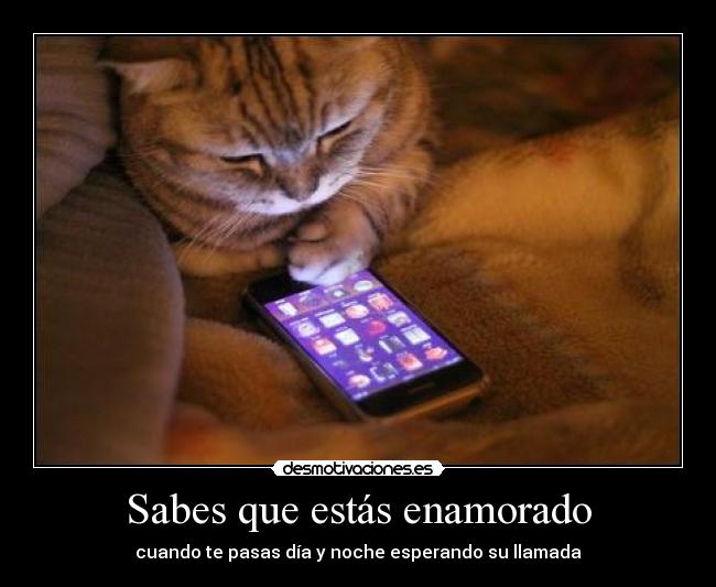 Sabes que estás enamorado - cuando te pasas día y noche esperando su llamada