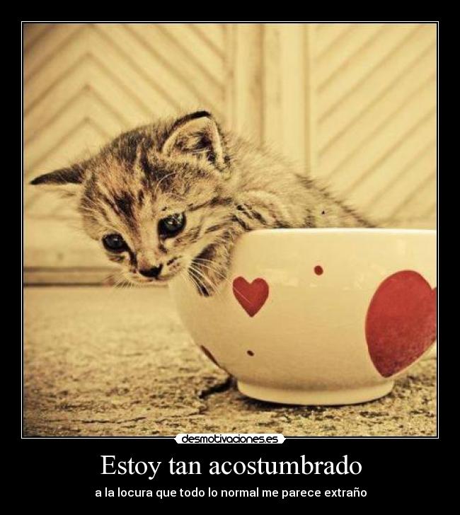 Estoy tan acostumbrado - a la locura que todo lo normal me parece extraño