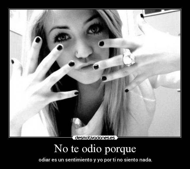 No te odio porque - 