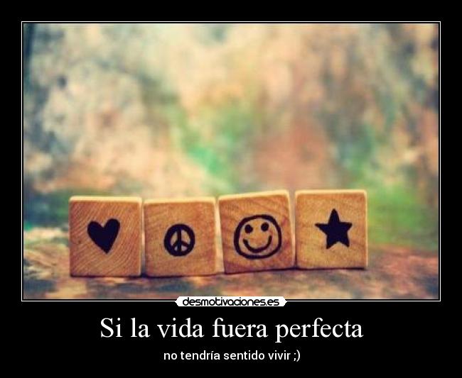 Si la vida fuera perfecta -