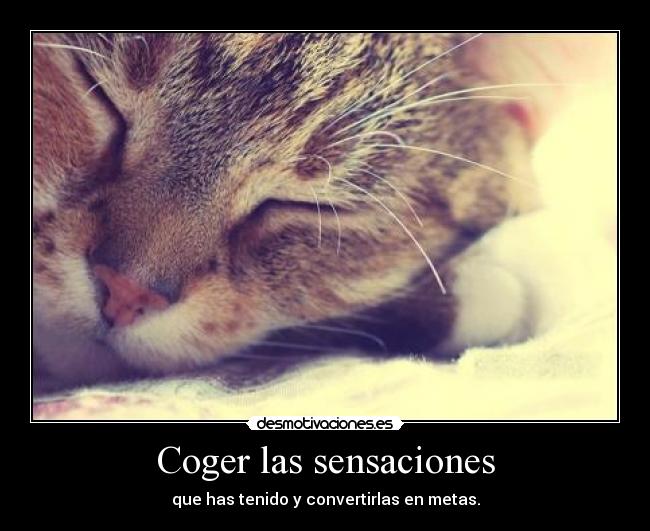 Coger las sensaciones - 