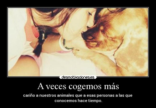 A veces cogemos más - cariño a nuestros animales que a esas personas a las que 
conocemos hace tiempo.