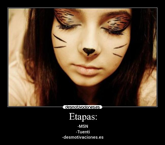 Etapas: -