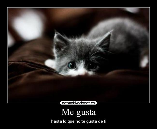 Me gusta - 
