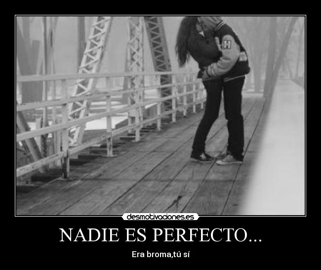 NADIE ES PERFECTO... -