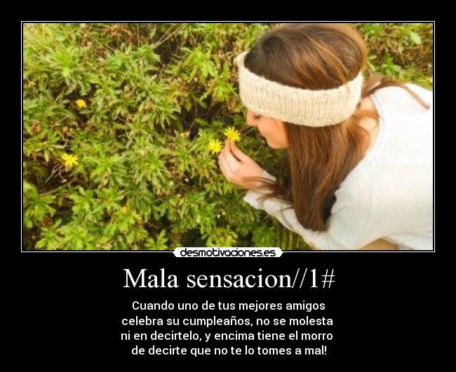 carteles amigos falsos desmotivaciones