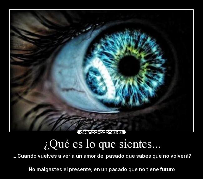 ¿Qué es lo que sientes... - ... Cuando vuelves a ver a un amor del pasado que sabes que no volverá?

No malgastes el presente, en un pasado que no tiene futuro