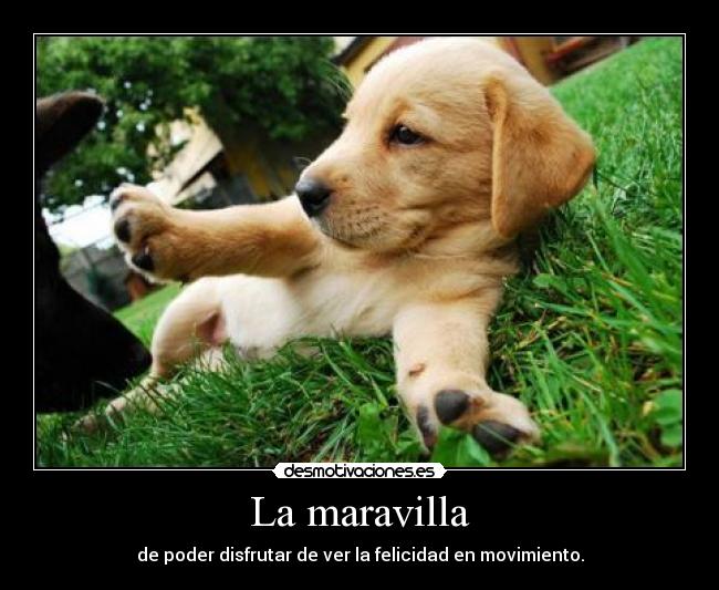 carteles cartel 666 roto noooooo dejo esta mierda voy tifani9 desmotivaciones