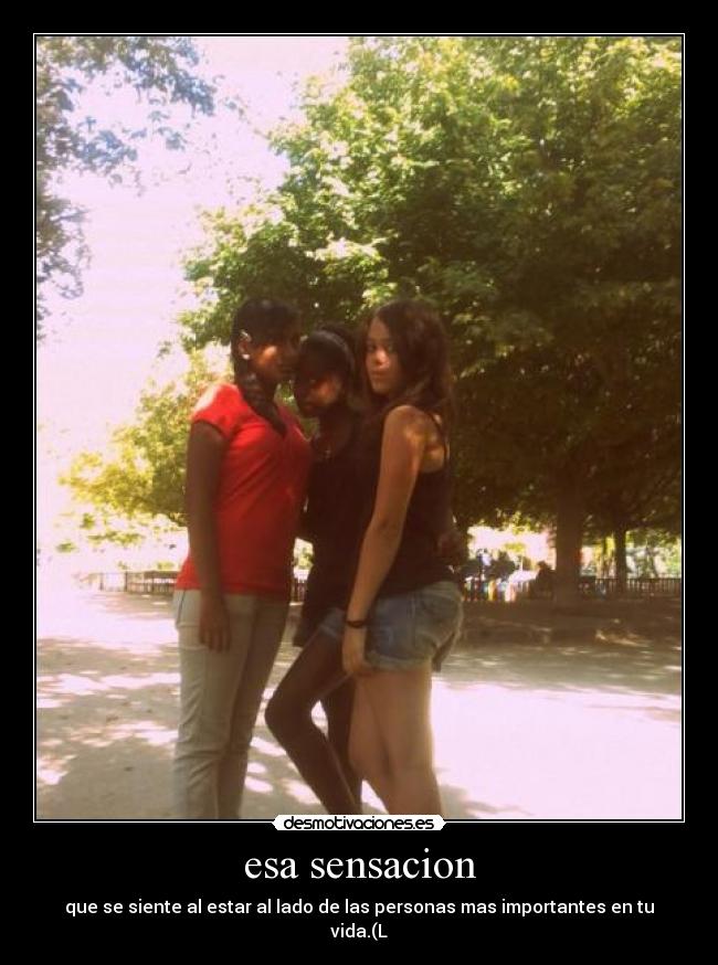 carteles las amo desmotivaciones