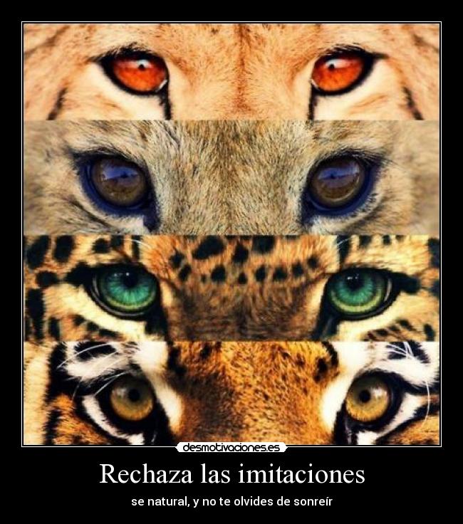 carteles saradamn aka the same cdid feliz 2012 estoy loca desmotivaciones