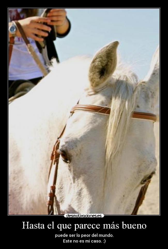 carteles patii desmotivaciones