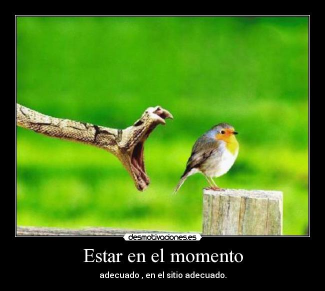 Estar en el momento - 