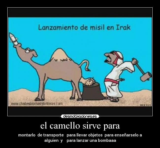 carteles camello las bombaas desmotivaciones
