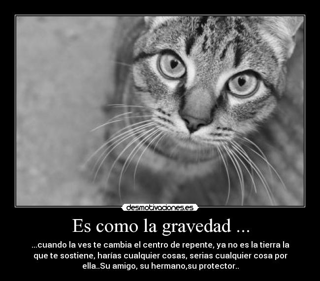 Es como la gravedad ... - 