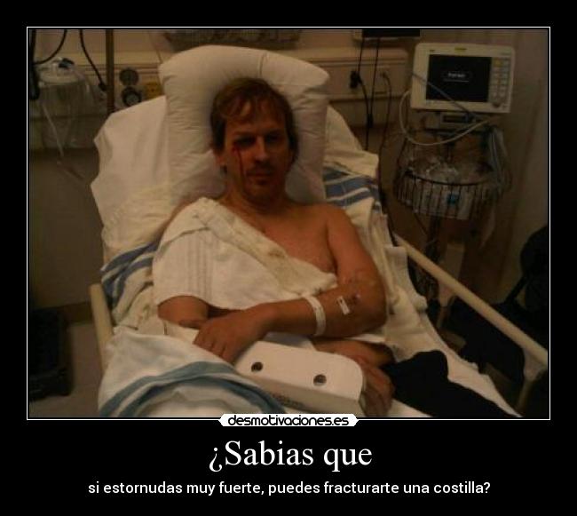 carteles curiosidades desmotivaciones