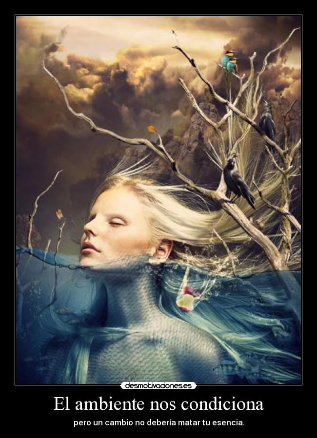 El ambiente nos condiciona -
