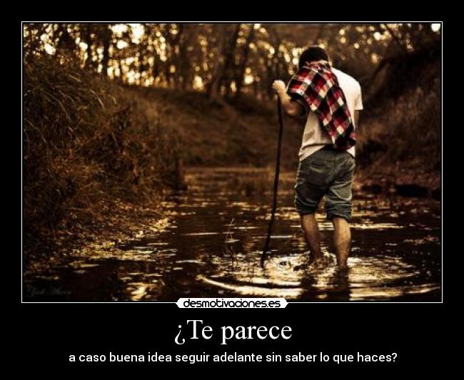 ¿Te parece - 