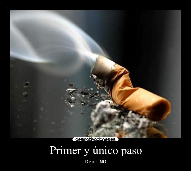 Primer y único paso -