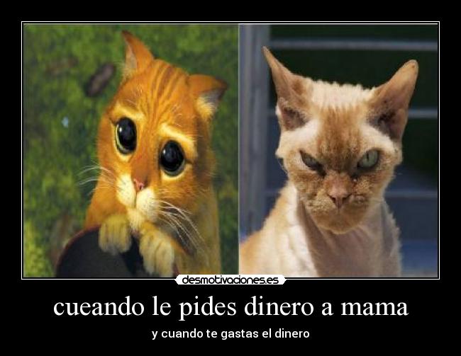 carteles dinero apoco cierto desmotivaciones