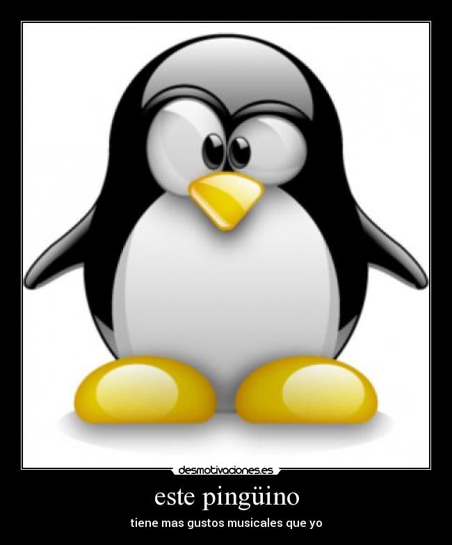 este pingüino - tiene mas gustos musicales que yo