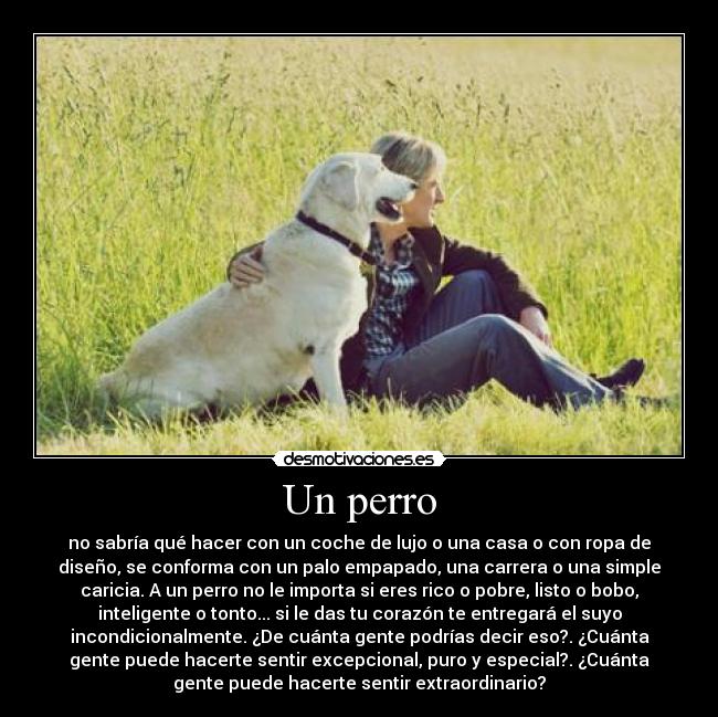 Un perro - no sabría qué hacer con un coche de lujo o una casa o con ropa de
diseño, se conforma con un palo empapado, una carrera o una simple
caricia. A un perro no le importa si eres rico o pobre, listo o bobo,
inteligente o tonto... si le das tu corazón te entregará el suyo
incondicionalmente. ¿De cuánta gente podrías decir eso?. ¿Cuánta
gente puede hacerte sentir excepcional, puro y especial?. ¿Cuánta
gente puede hacerte sentir extraordinario?