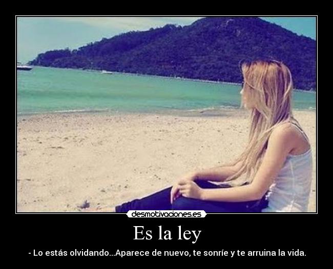 Es la ley - - Lo estás olvidando...Aparece de nuevo, te sonríe y te arruina la vida.