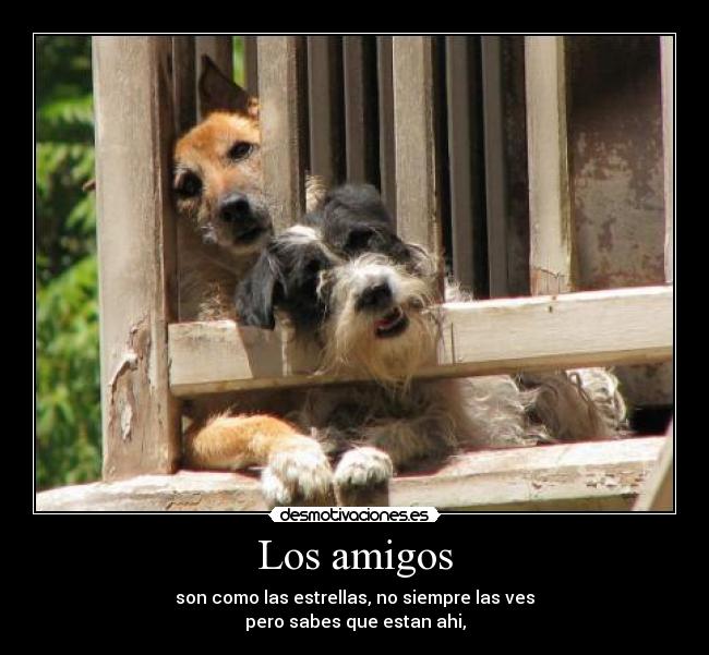 Los amigos - son como las estrellas, no siempre las ves
pero sabes que estan ahi,